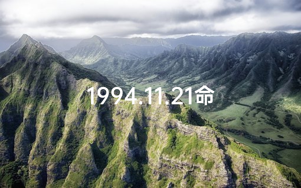 1994.11.21命格、1994.11.26命运