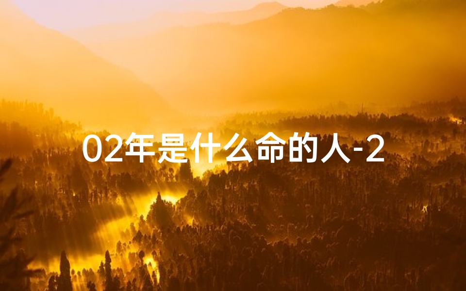 02年是什么命的人-2002年:揭秘那年的命格之谜