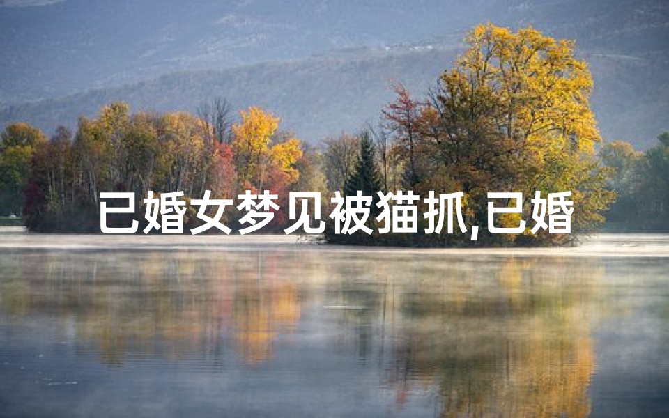已婚女梦见被猫抓,已婚女梦见猫抓自己