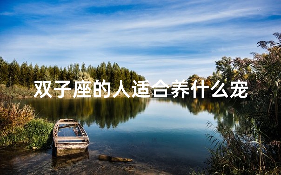 双子座的人适合养什么宠物,双子座数量揭秘:适合几只狗狗相伴?