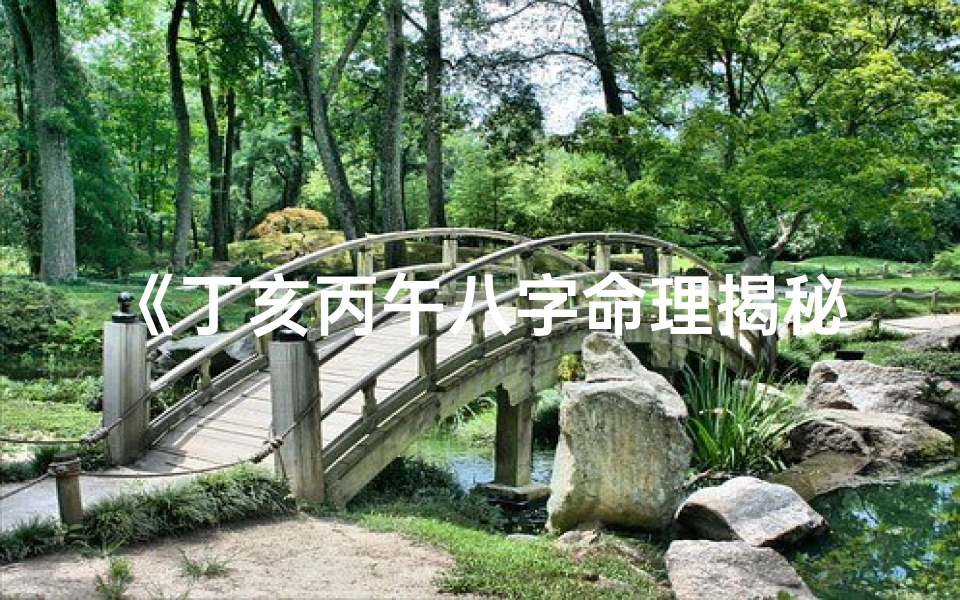 《丁亥丙午八字命理揭秘:命运轨迹深度解析》-东贵算卦网