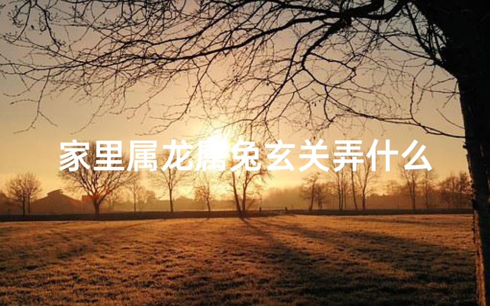 家里属龙属兔玄关弄什么、属龙和属兔家里摆放什么好