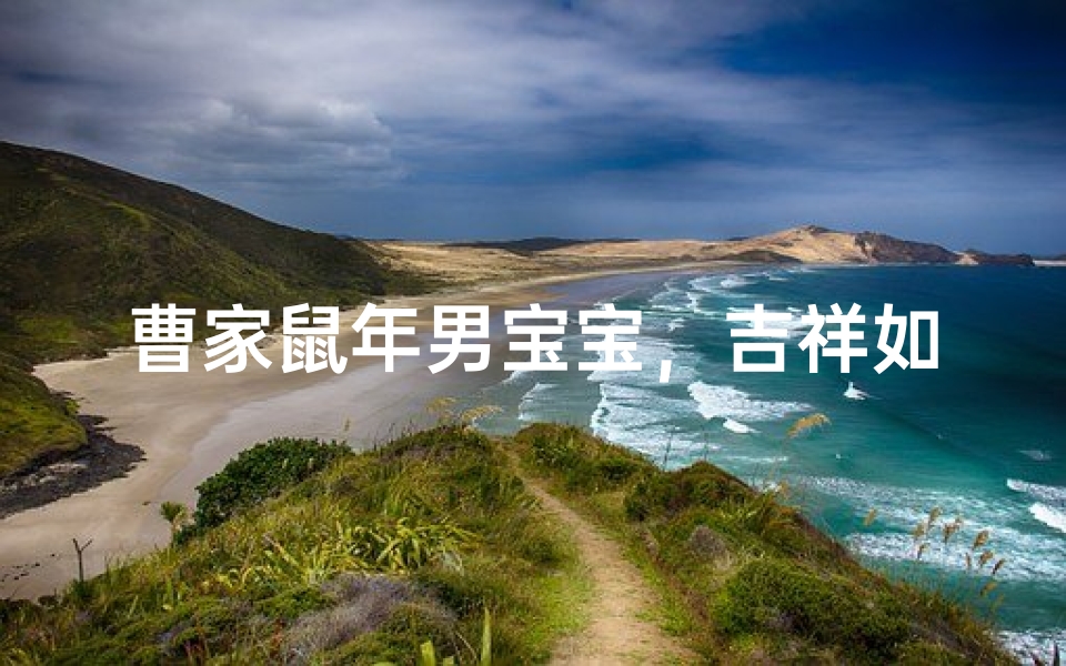 曹家鼠年男宝宝,吉祥如意迎新春