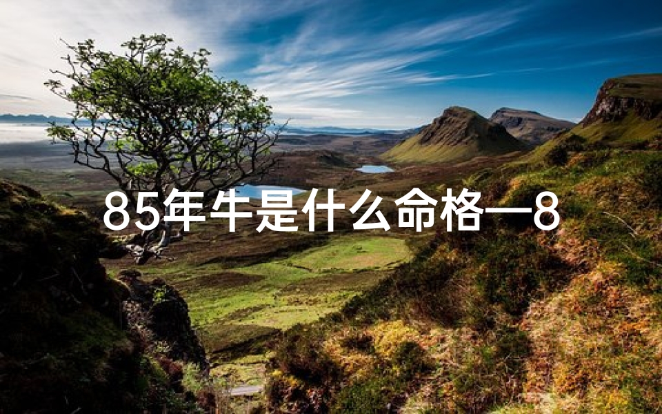 85年牛是什么命格—85年的牛到底是什么命