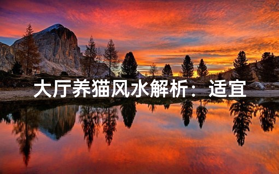 大厅养猫风水解析：适宜与否？