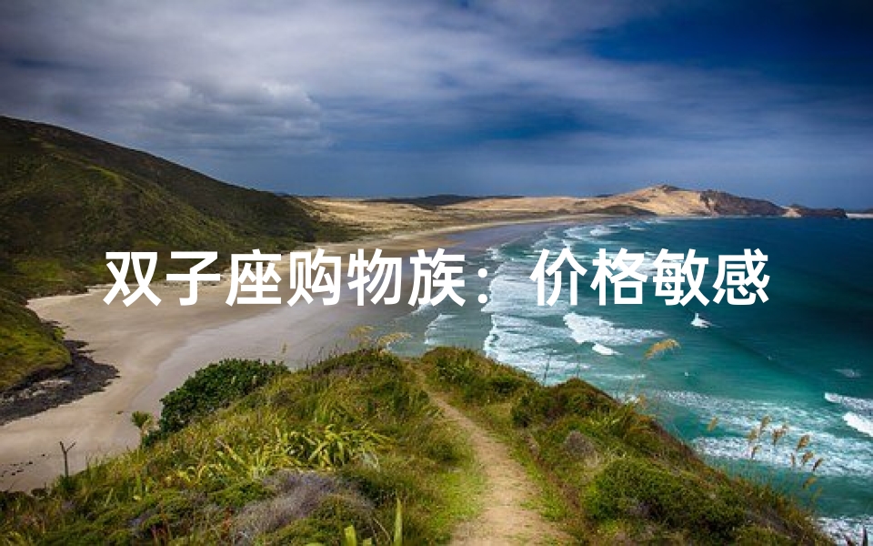 双子座购物族:价格敏感度揭秘