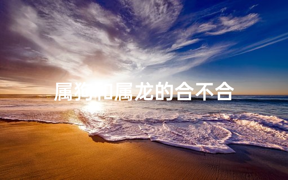 属狗和属龙的合不合