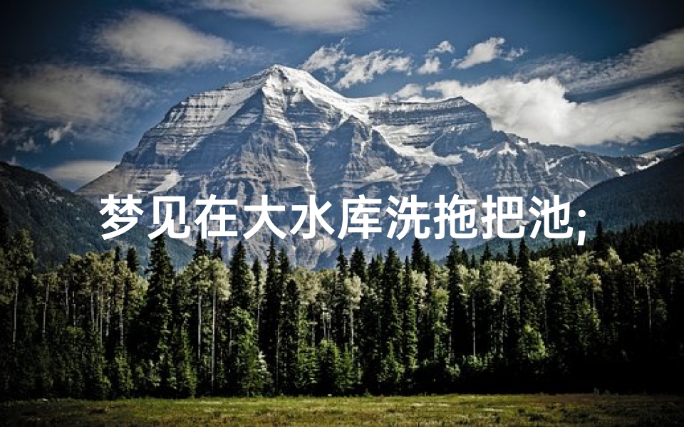梦见在大水库洗拖把池;梦见在清澈的水里洗拖把