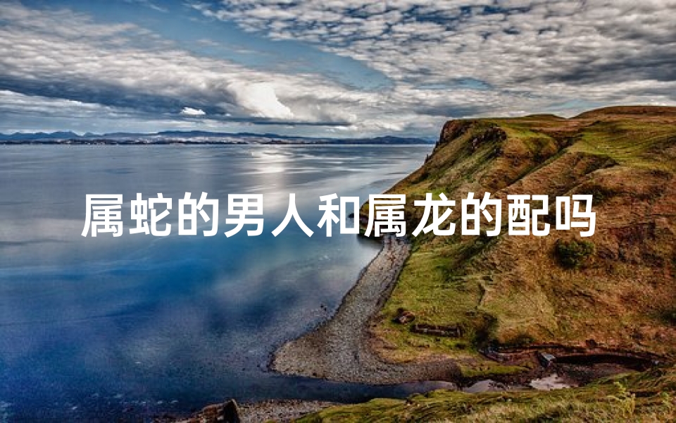 属蛇的男人和属龙的配吗