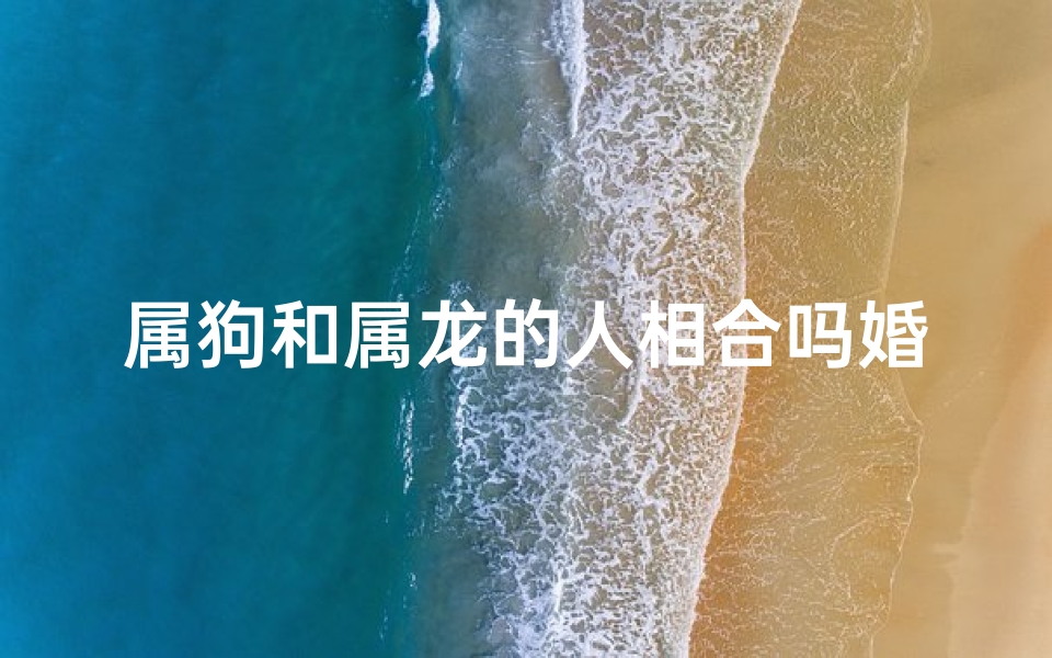 属狗和属龙的人相合吗婚姻如何;属狗和属龙的人相合吗婚姻如何呢