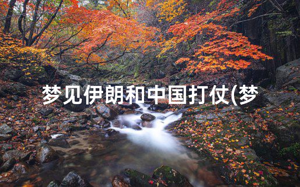梦见伊朗和中国打仗(梦到伊朗人)