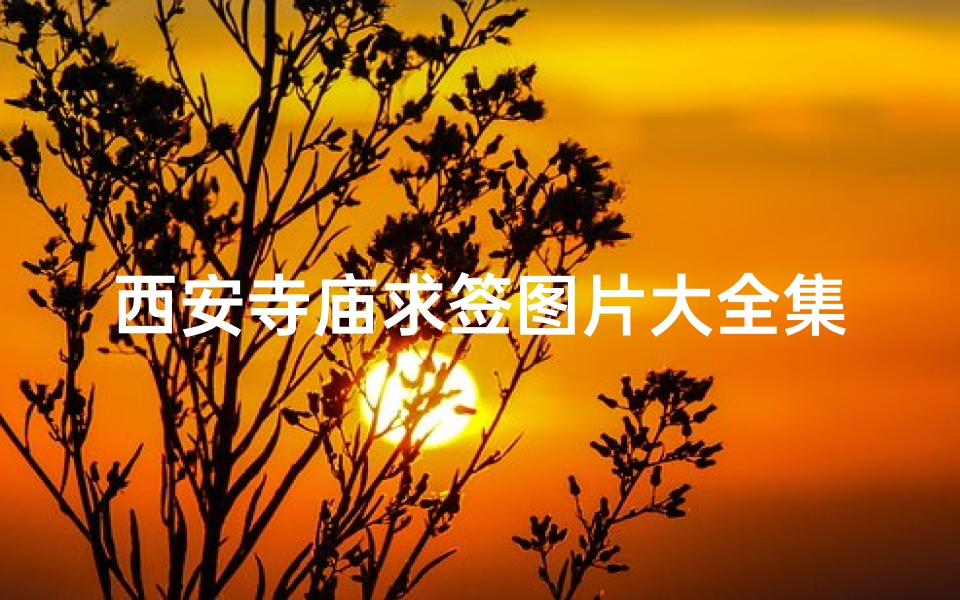 西安寺庙求签图片大全集高清;《西安寺庙求签图片大全:千年文化解读》