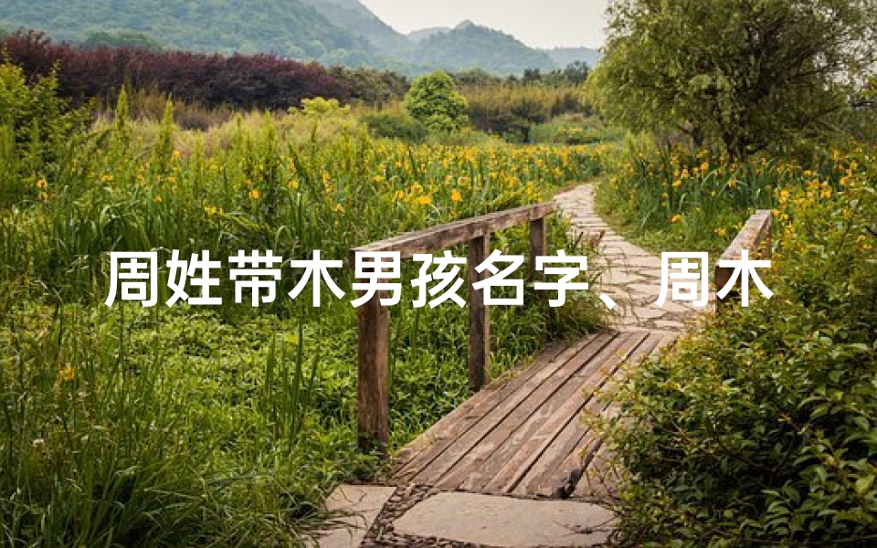 周姓带木男孩名字、周木宝：木属性狗宝宝的灵动之名