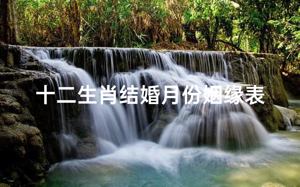 十二生肖结婚月份姻缘表(秦阳明 12生肖几月结婚最吉利 )