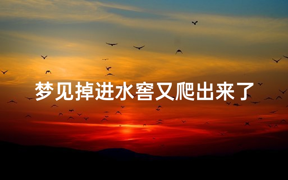梦见掉进水窖又爬出来了_梦见我掉进水坑里,又爬了出来,什么意思