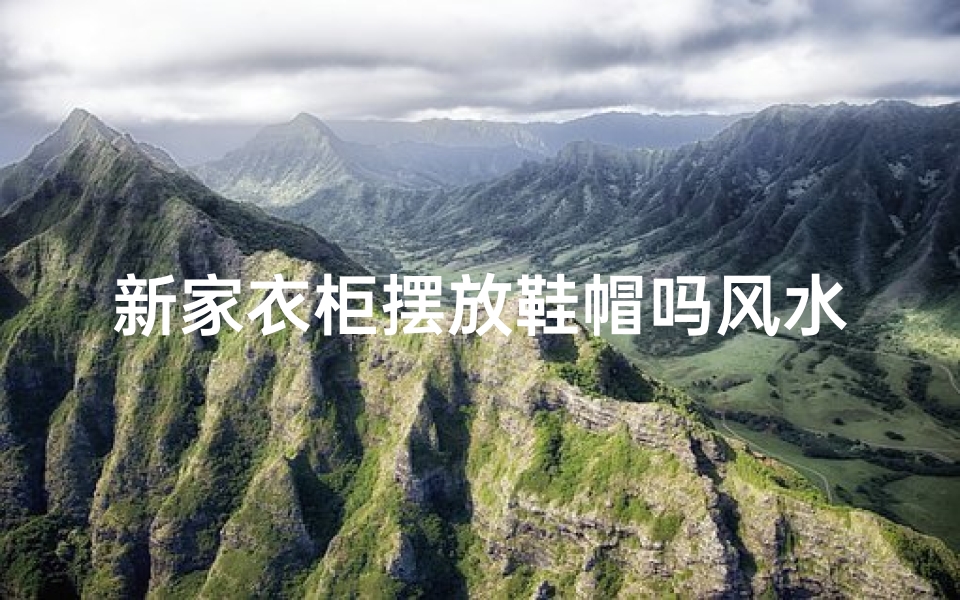 新家衣柜摆放鞋帽吗风水好吗(鞋柜放衣服)