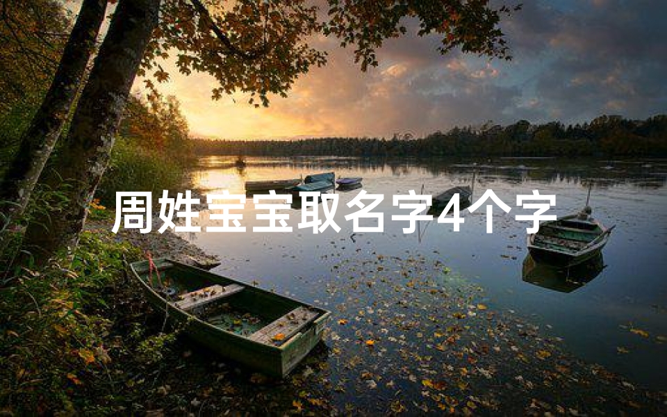 周姓宝宝取名字4个字