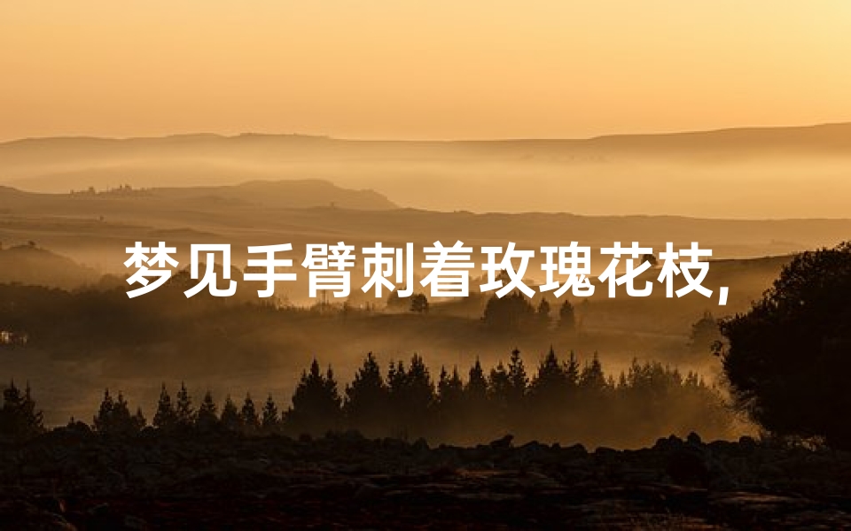 梦见手臂刺着玫瑰花枝,梦见玫瑰刺扎手