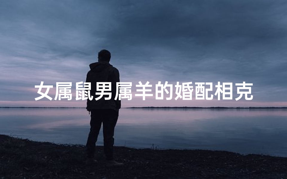 女属鼠男属羊的婚配相克-女属鼠男属羊配吗
