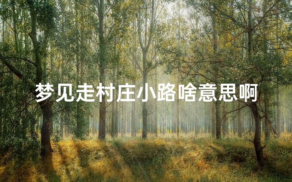 梦见走村庄小路啥意思啊(梦见路过村庄)