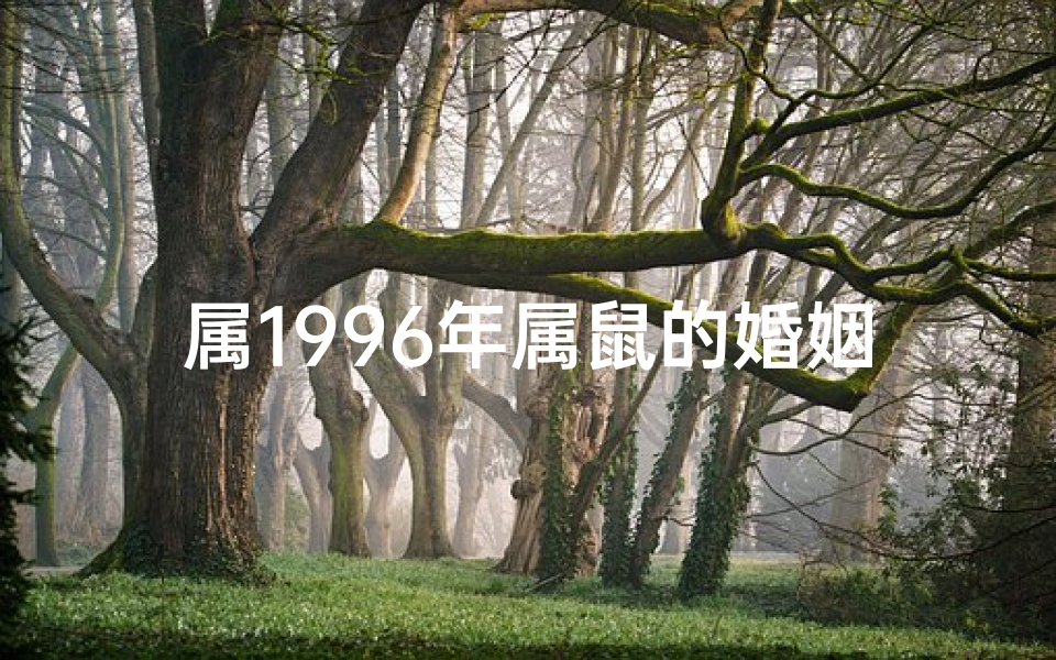 属1996年属鼠的婚姻怎么样