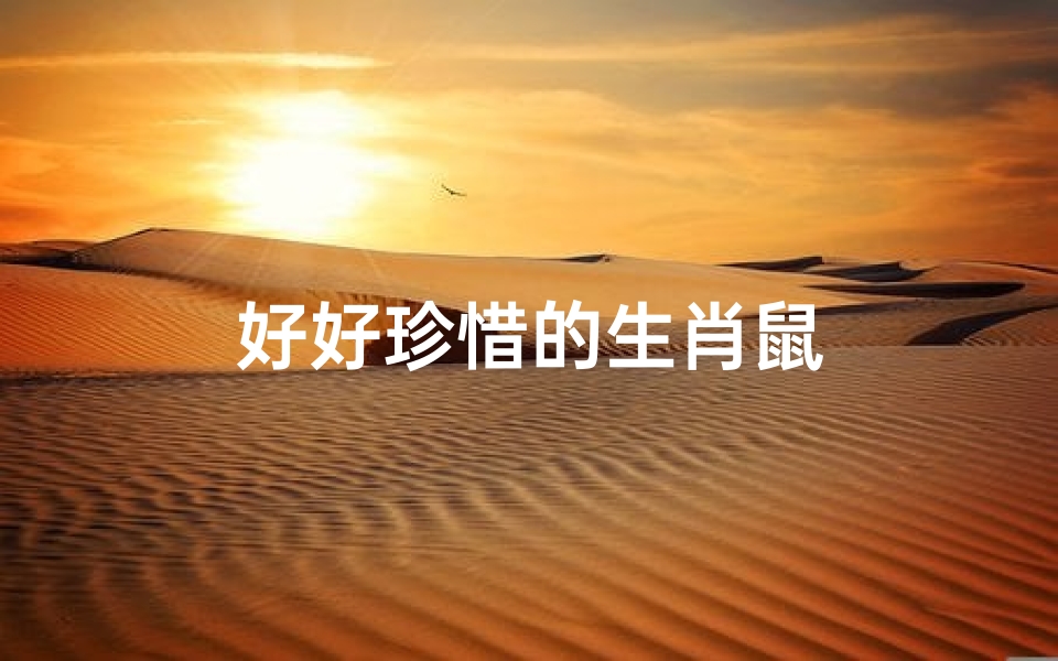 好好珍惜的生肖鼠