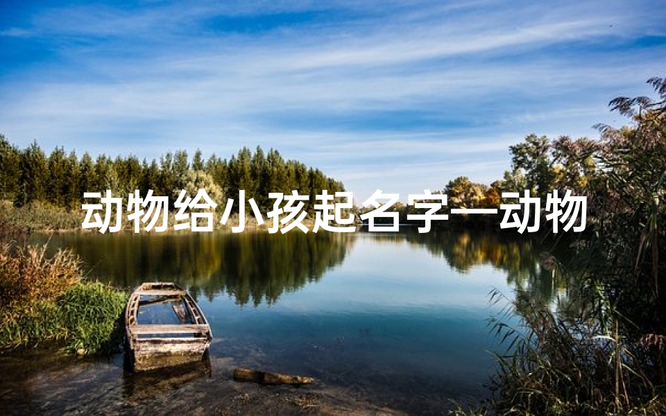 动物给小孩起名字—动物乐园,宝宝起名趣事多