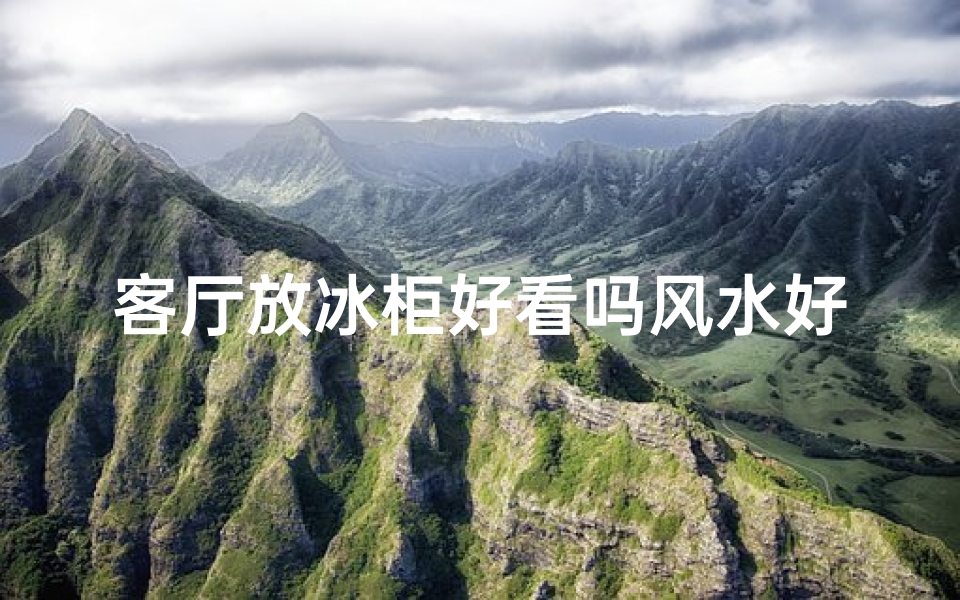 客厅放冰柜好看吗风水好吗