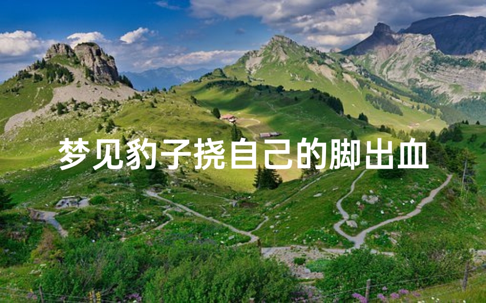 梦见豹子挠自己的脚出血、梦见被豹子挠