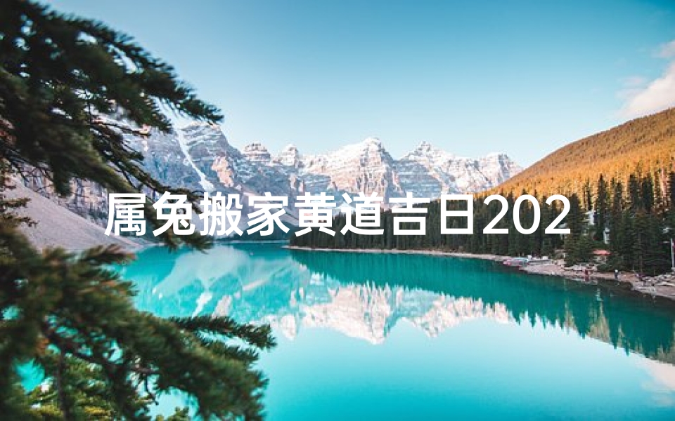 属兔搬家黄道吉日2024年-属兔搬家吉日:好运连连,乔迁之喜