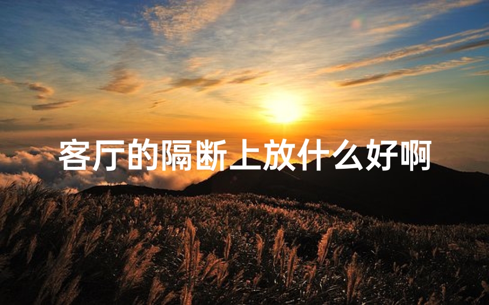 客厅的隔断上放什么好啊?-客厅隔断加窗子,风水美观两相宜