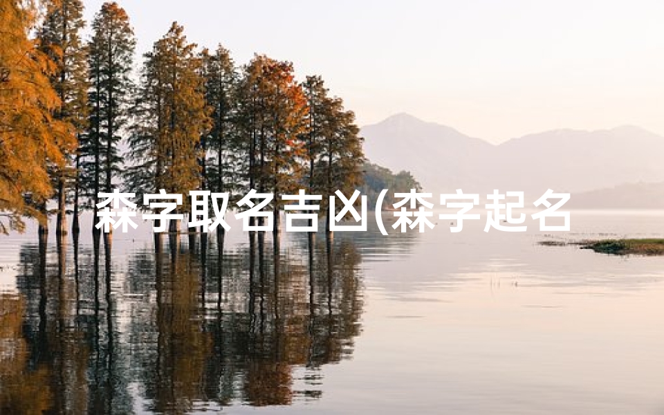 森字取名吉凶(森字起名吉凶查询大全解析指南)