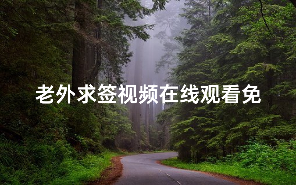 老外求签视频在线观看免费,探索文化交流的魅力