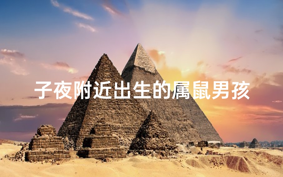 子夜附近出生的属鼠男孩;子夜鼠宝宝:新生命降临的时刻