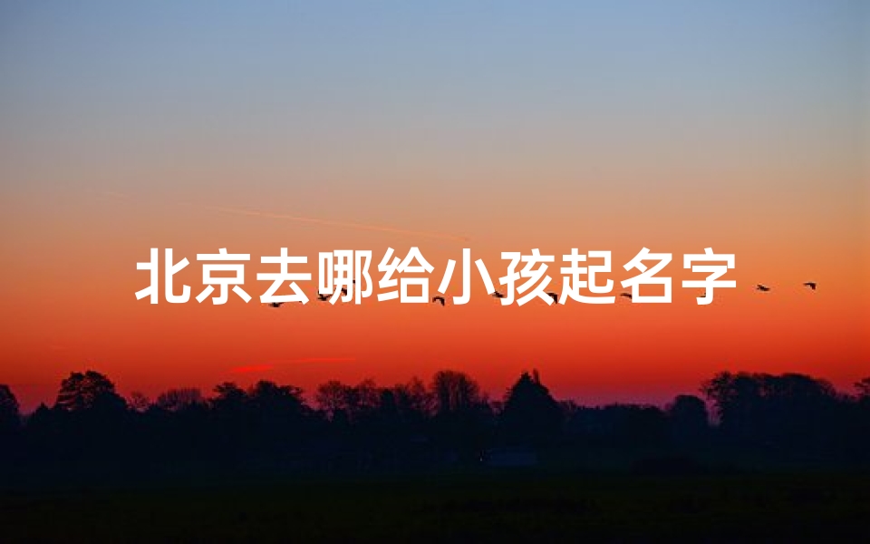 北京去哪给小孩起名字