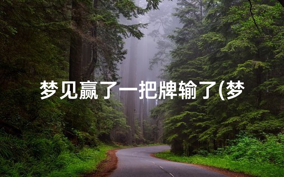 梦见赢了一把牌输了(梦见赢了一把牌输了很多钱)
