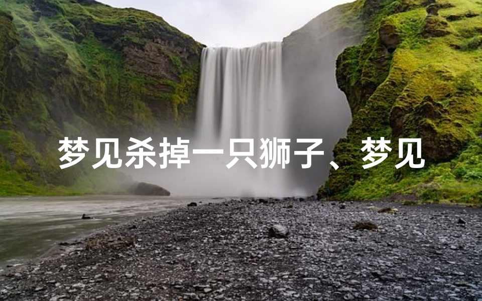 梦见杀掉一只狮子、梦见杀了一只狮子