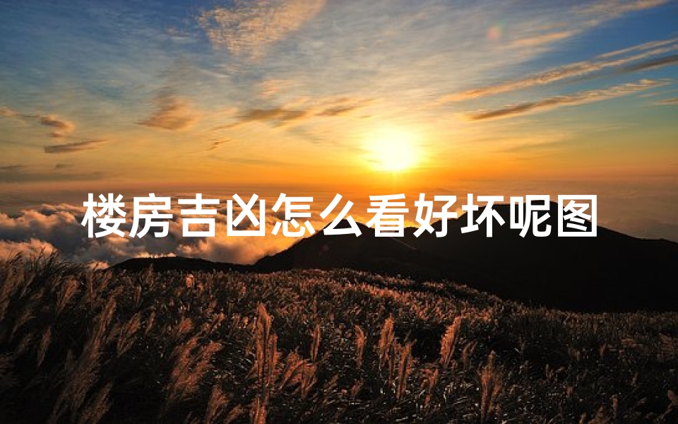 楼房吉凶怎么看好坏呢图片—楼房怎么看风水好不好