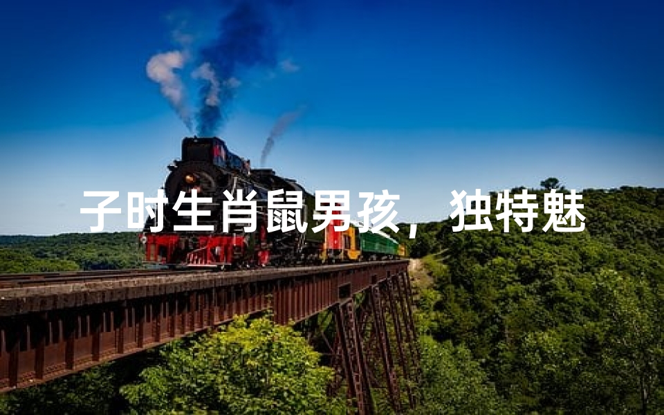 子时生肖鼠男孩,独特魅力尽显风采