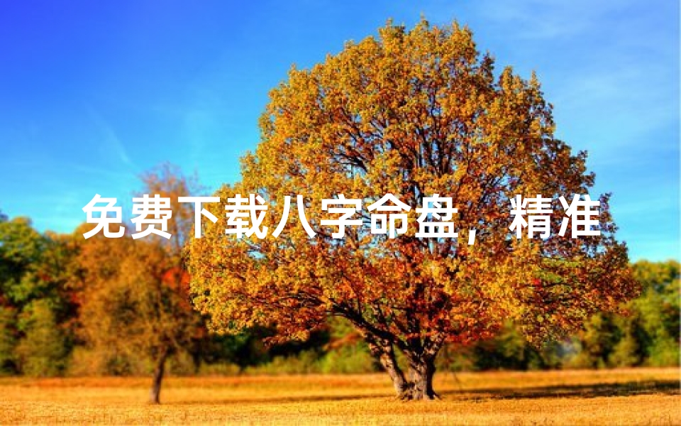 免费下载八字命盘,精准算命服务大公开