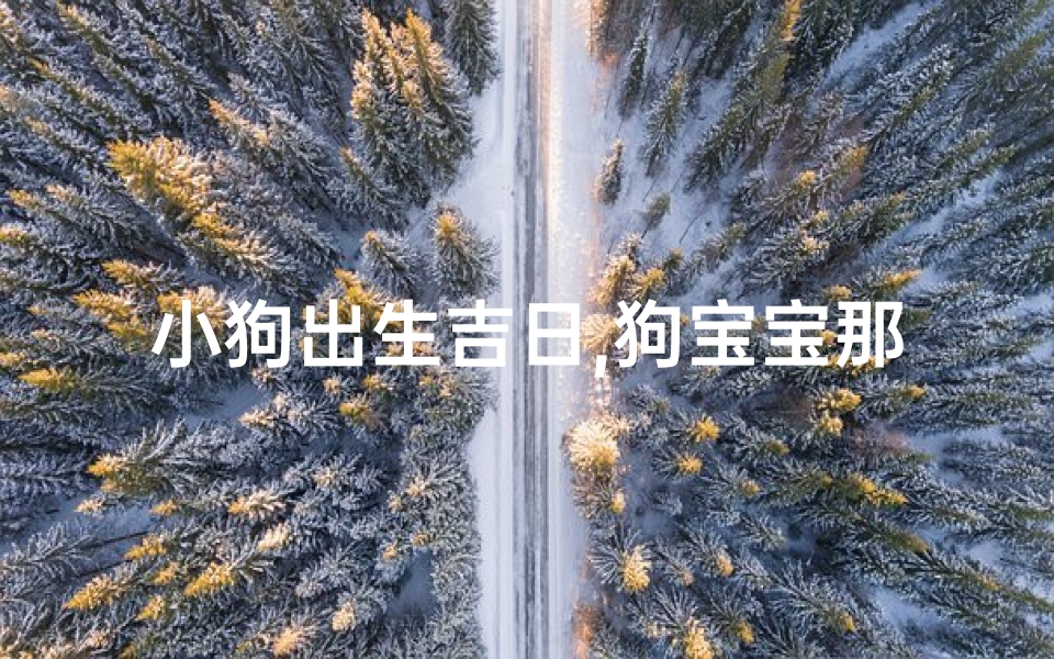 小狗出生吉日,狗宝宝那天出生好