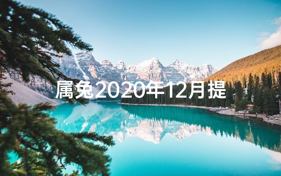 属兔2020年12月提车黄道吉日—属兔2024年11月提车吉日精选:金兔跃动,喜提新车时