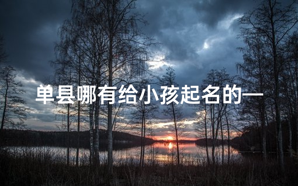 单县哪有给小孩起名的—单县育儿必备:小孩起名好去处