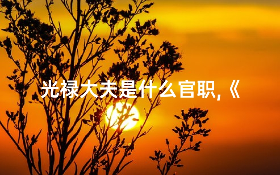 光禄大夫是什么官职,《光禄大夫八字命理揭秘:八字命解新篇章》