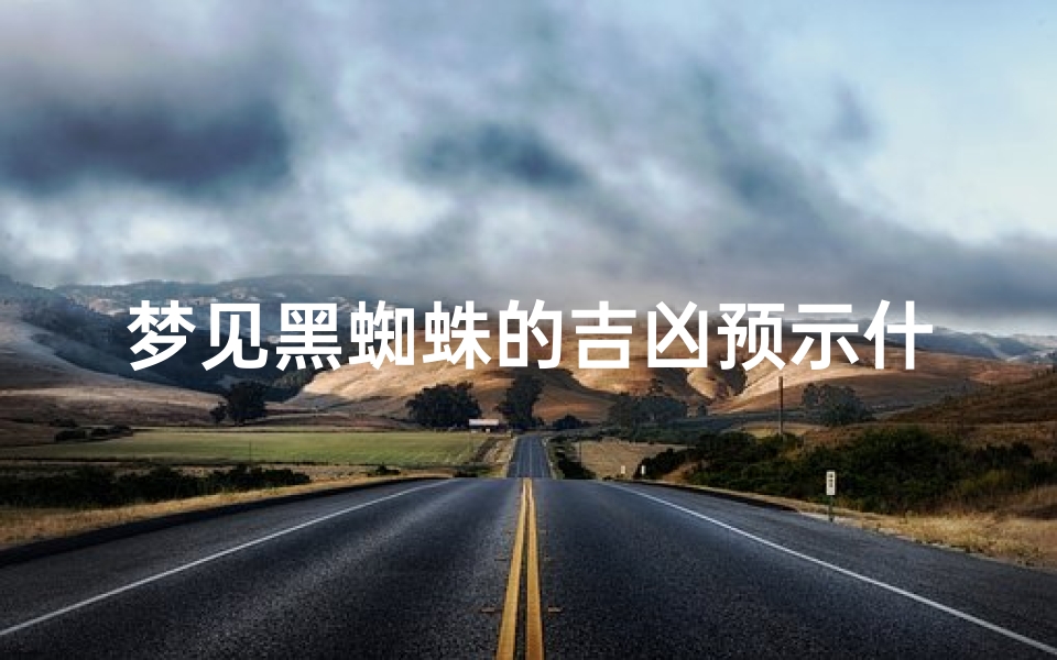 梦见黑蜘蛛的吉凶预示什么意思_《梦见黑蜘蛛:揭秘吉凶预示之谜》