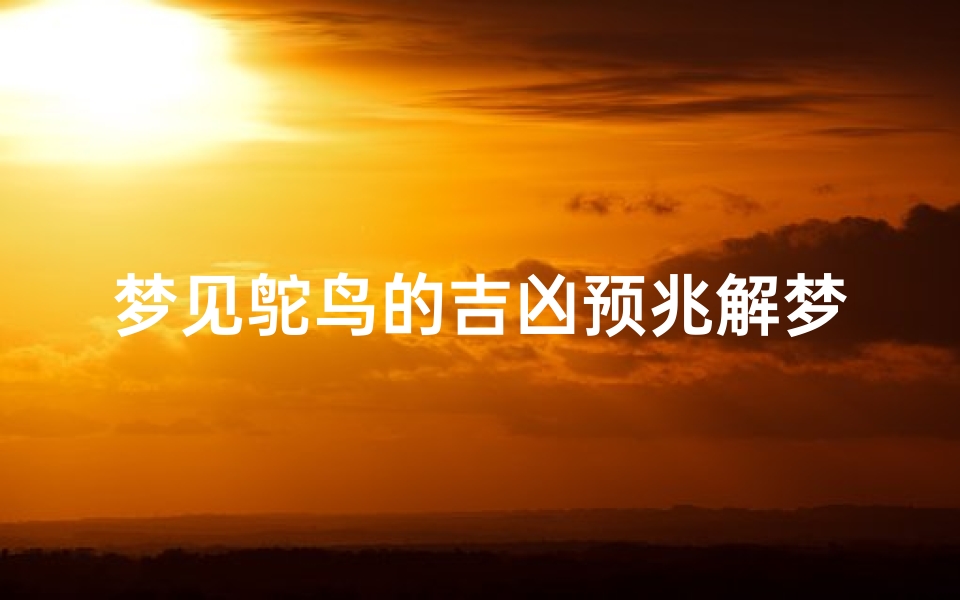 梦见鸵鸟的吉凶预兆解梦_《梦见鸵鸟:揭秘吉凶预兆的神秘之谜》
