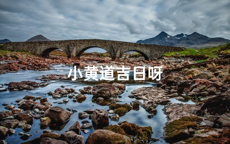 小黄道吉日呀