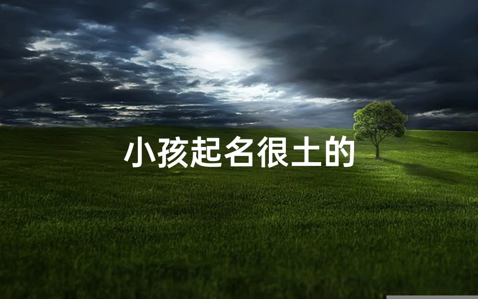 小孩起名很土的
