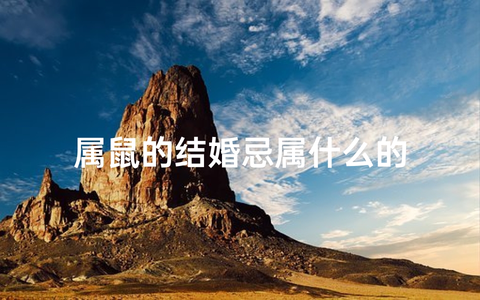 属鼠的结婚忌属什么的
