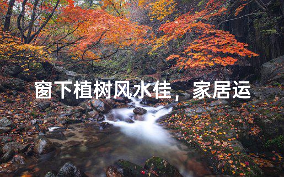 窗下植树风水佳,家居运势更上一层楼